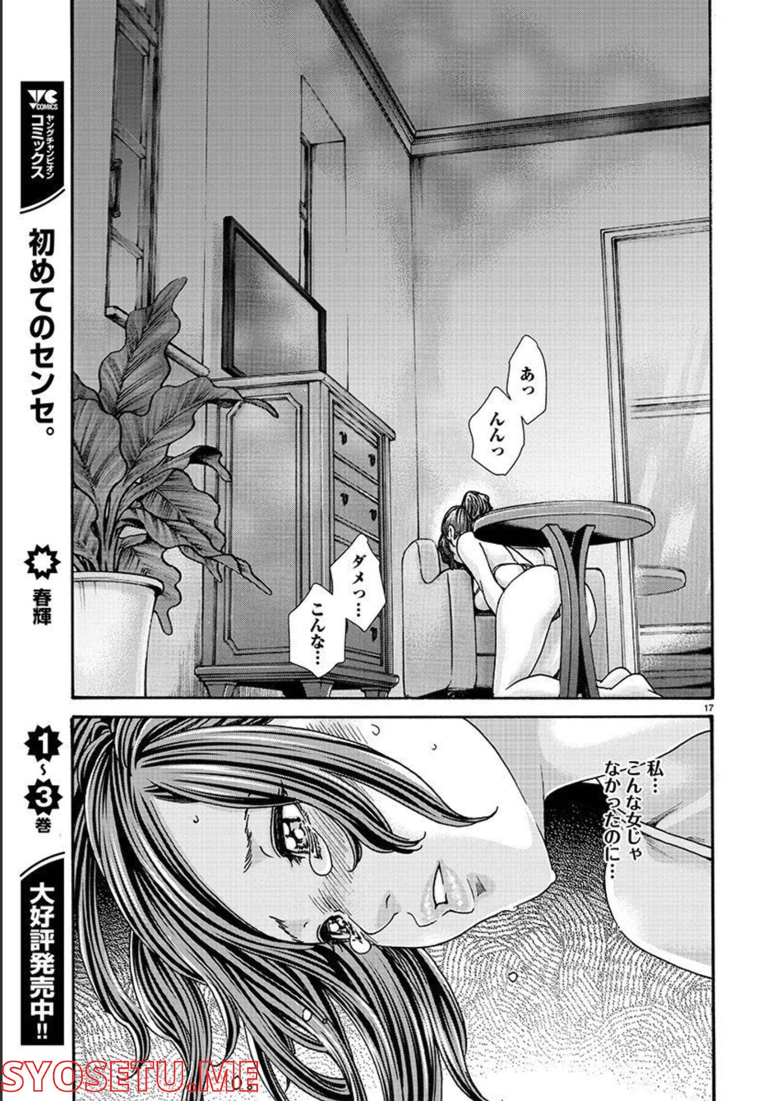 Page 17