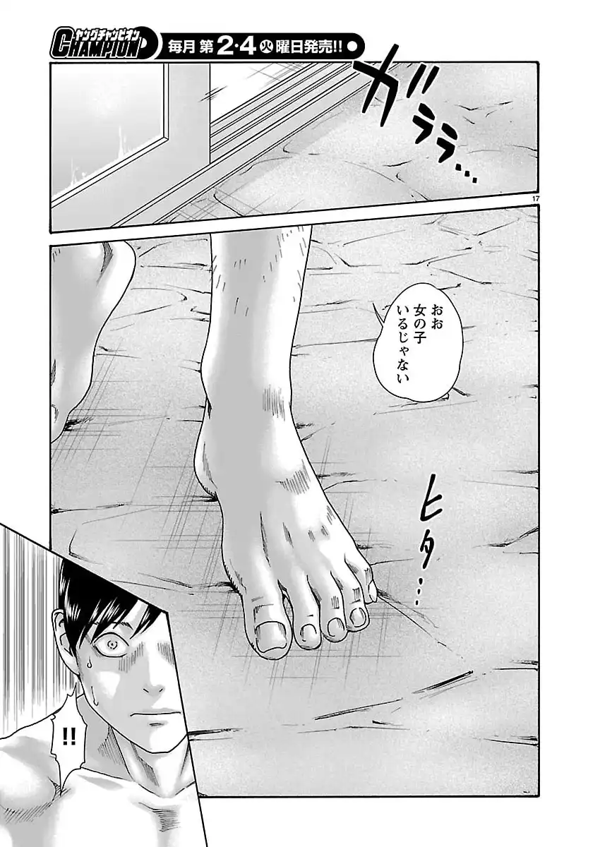 Page 17